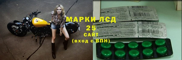 индика Алексин