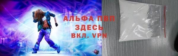 индика Алексин