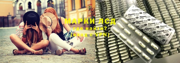 гашик Новокубанск