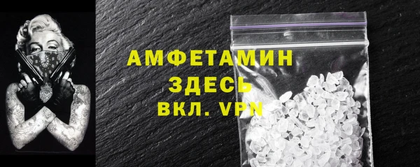 индика Алексин