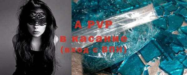 индика Алексин