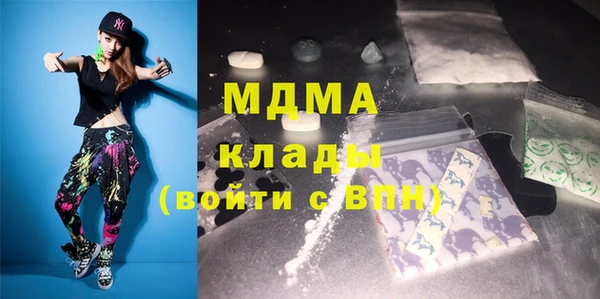 индика Алексин