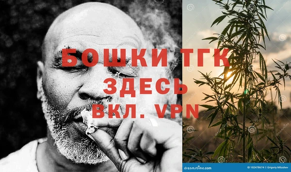 индика Алексин